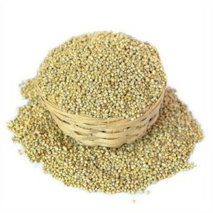 Pearl Millet (Bajra) (HSN Code: 10082920)