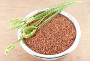 Finger Millet (Ragi) ( HSN Code: 10082120)